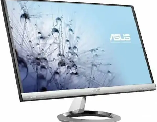 Monitor